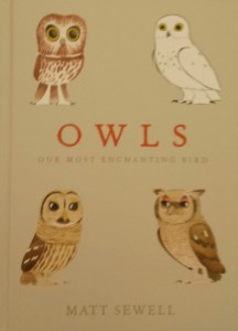 Owls - front