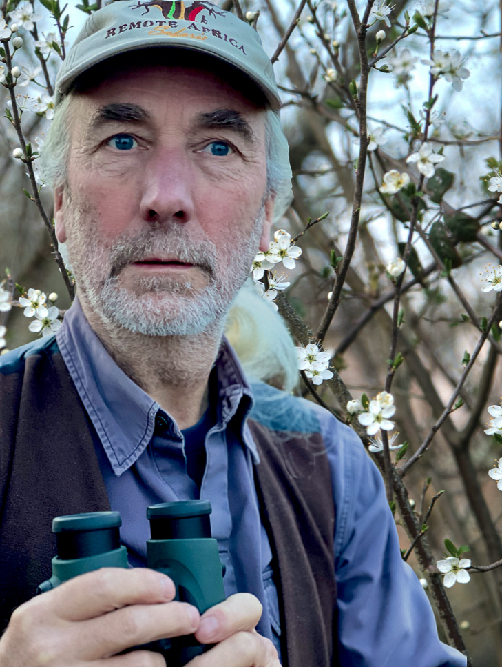 Simon Barnes How to Fly: Taking Wing with Birds, Bats, Insects and Humans